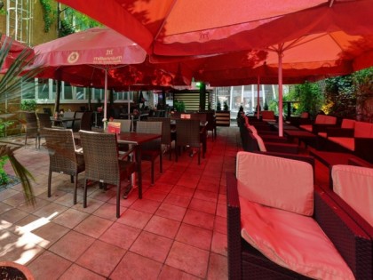 照片: Cafe Millennium